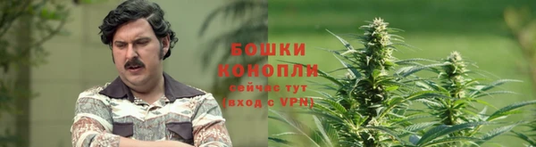 трава Армянск