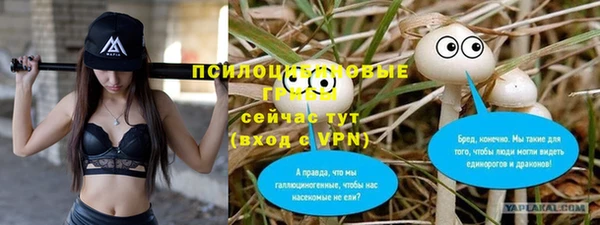 a pvp Арсеньев